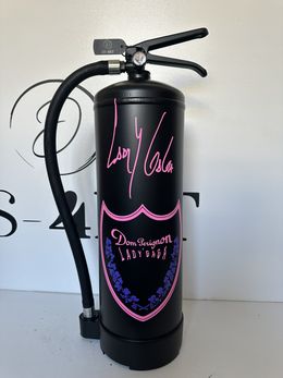Skulpturen, Dom Perignon, Lady gaga, fire extinguishe, DS-4RT