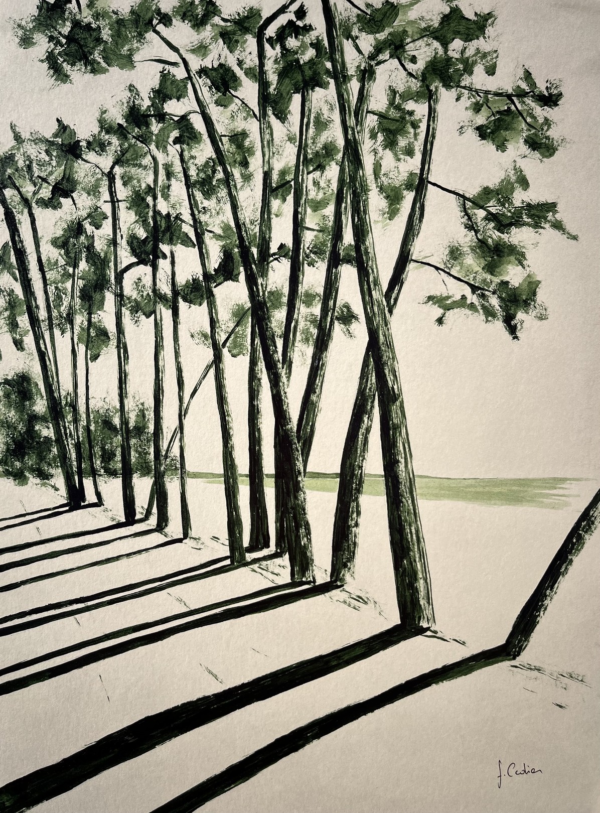Frédéric Cadiou, Avenue du Cap Coz Frédéric Cadiou, Avenue du Cap Coz