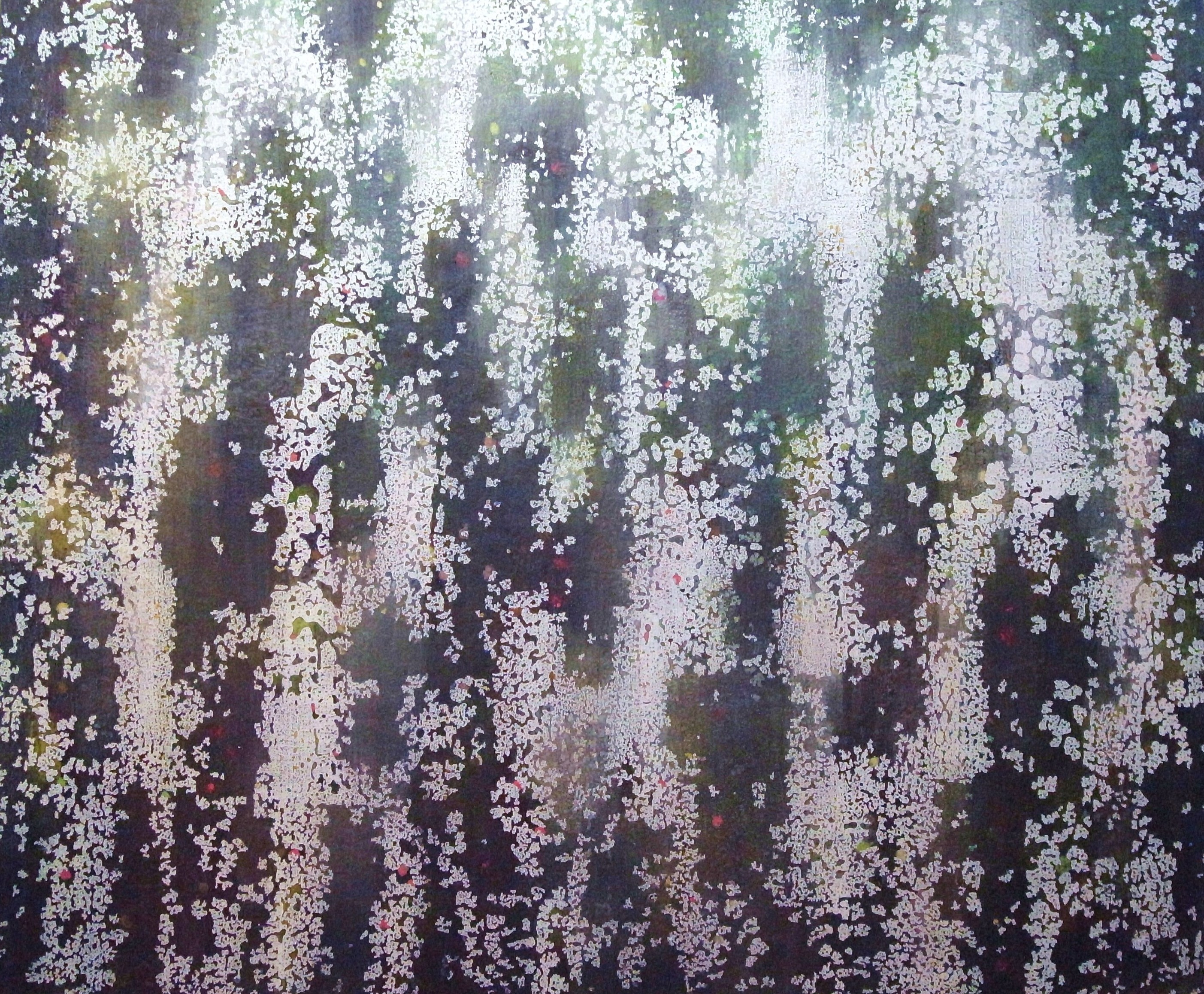 Koji Nishimi, Impression Boréale Koji Nishimi, Impression Boréale