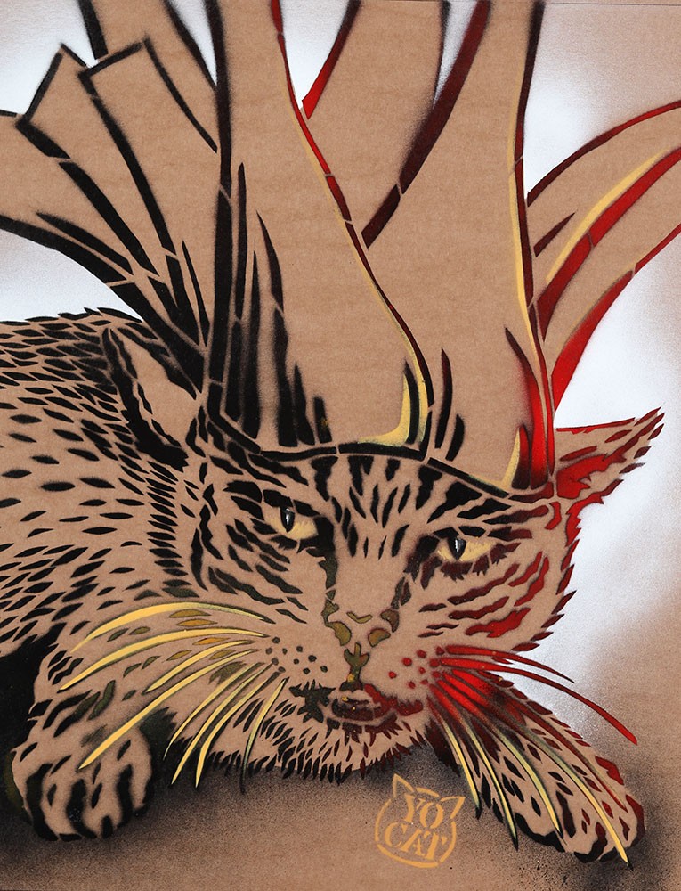 YoCat, King Cat YoCat, King Cat