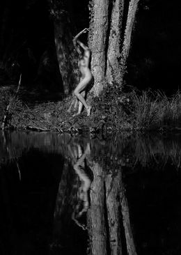 Fotografien, Sous les chênes, Regis Duvignau