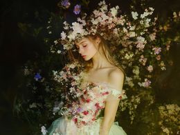 Photography, Enchanted blossom, Viet Ha Tran