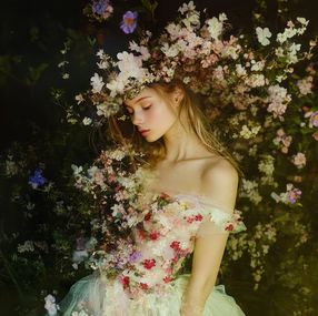 Photography, Enchanted blossom, Viet Ha Tran