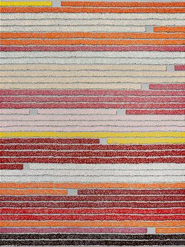 Peinture, Tulip Fields Netherlands #01, Bernhard Lang