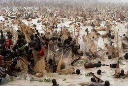 Fotografien, La pêche miraculeuse, Nigeria, Frédéric Noy