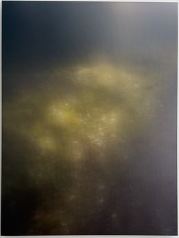 Photographie, Inhabiting the moss, Ulrikesabinechrista