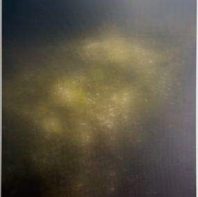Photography, Inhabiting the moss, Ulrikesabinechrista