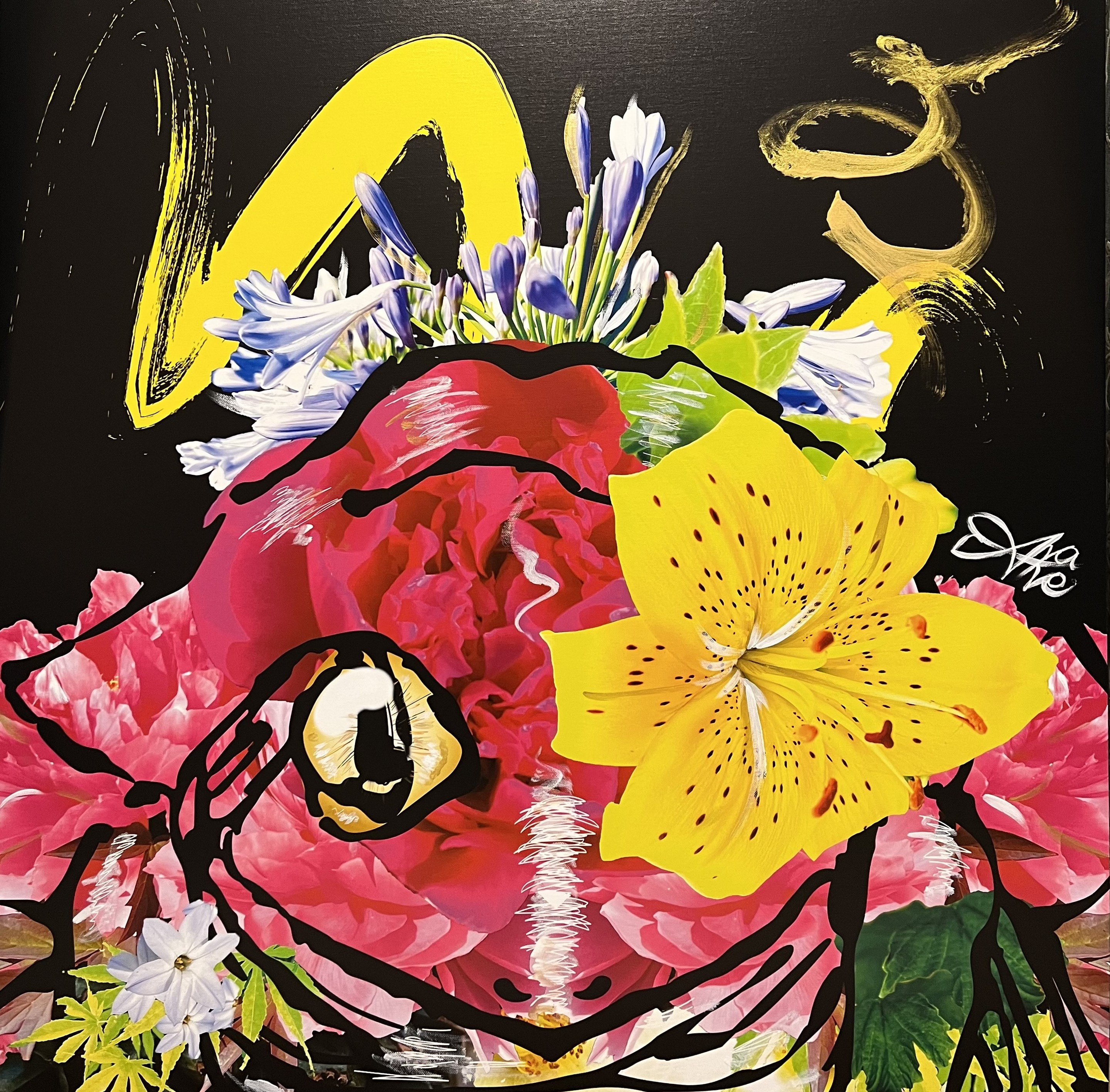 Ayane Matsuzaki, The Frog Ayane Matsuzaki, The Frog