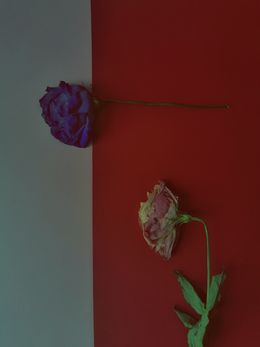 Fotografien, Untitled, KetoMa