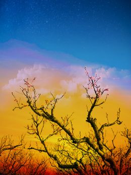Photography, Untitled, KetoMa