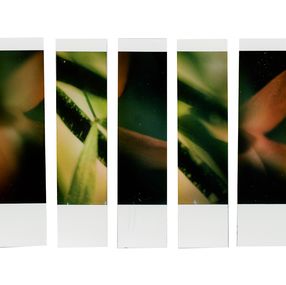 Photographie, Organism 2.1, Johana Trayanova