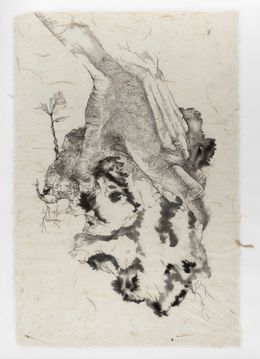 Zeichnungen, Le chêne à trois troncs n°4, Florian Song Nguyen