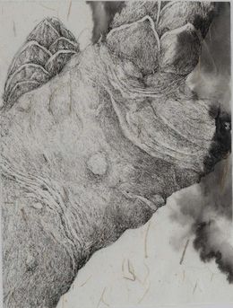 Zeichnungen, Le chêne à trois troncs n°30, Florian Song Nguyen