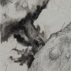 Fine Art Drawings, Le chêne à trois troncs n°38, Florian Song Nguyen
