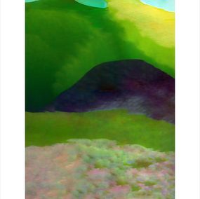 Print, Alpine Flowers, Angela Cameron