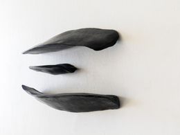 Sculpture, Cuerpos Magnéticos #9 Parte A. Wall sculpture, Carla Gimbatti