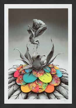 Print, Bloom Boom (framed hand signed screen print), Pierre Yves Riveau