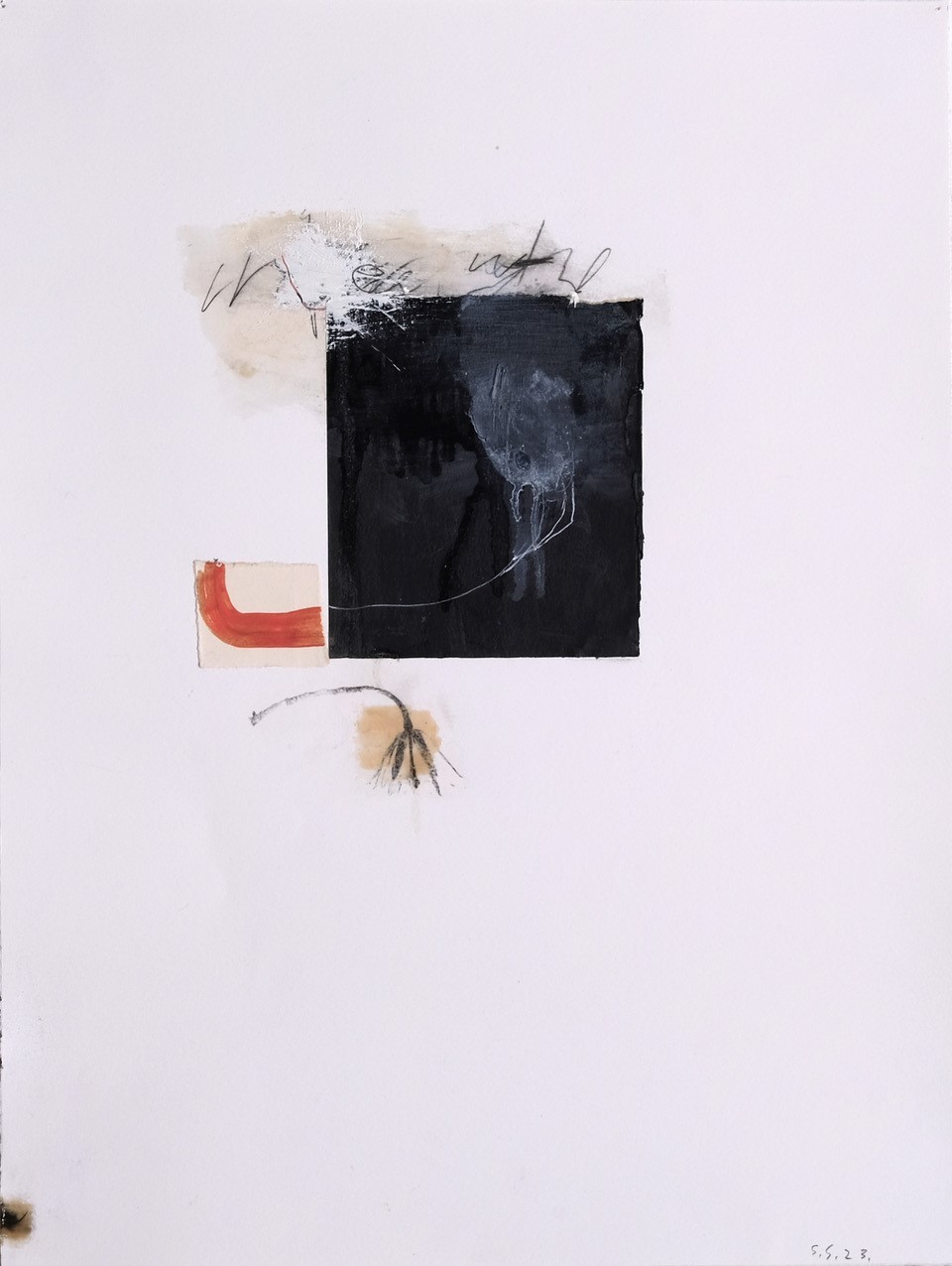 Steven Seinberg, Reversed Steven Seinberg, Reversed