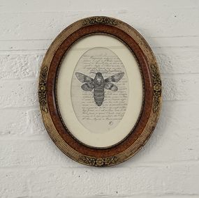 Fine Art Drawings, Végetaniamals 15, K TD