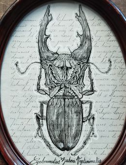 Dessin, Végetaniamals 13, K TD