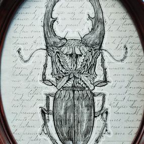 Fine Art Drawings, Végetaniamals 13, K TD