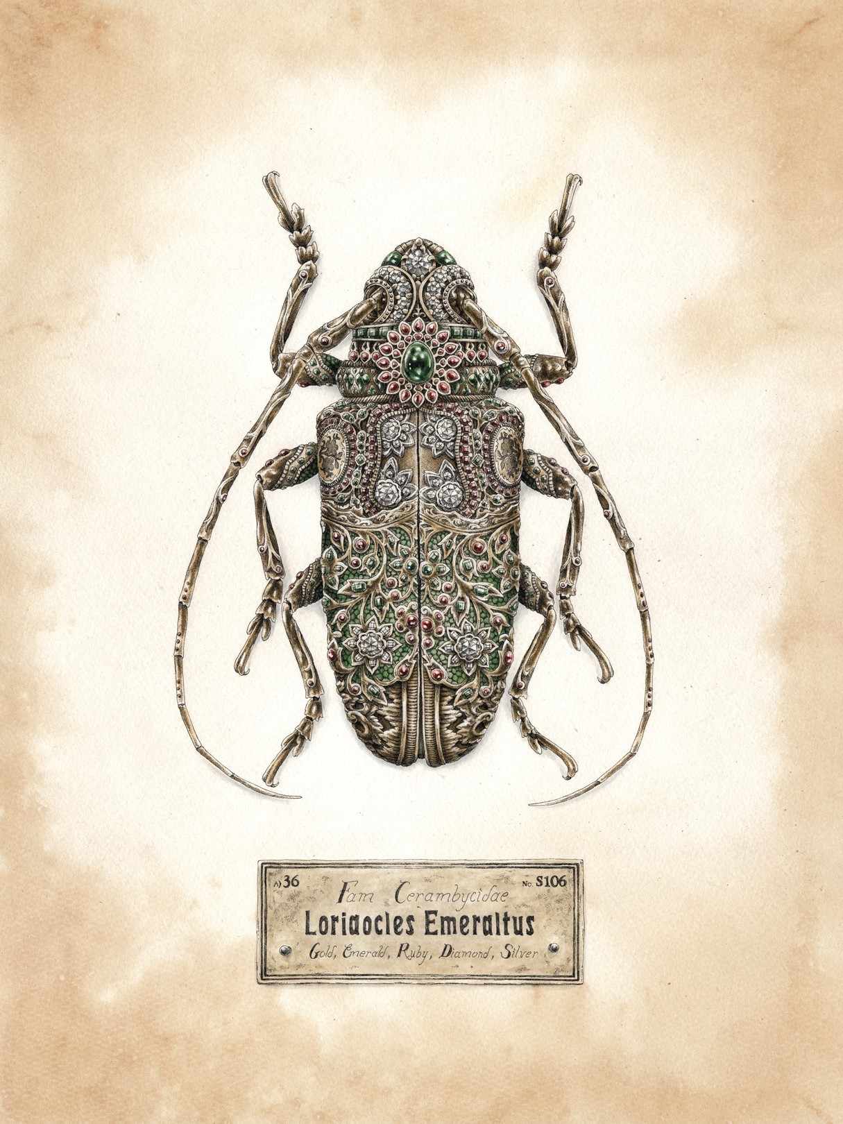 Steeven Salvat, Loriaocles Emeraltus Steeven Salvat, Loriaocles Emeraltus