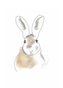 Dessin, Mon doux lapin !, Noël Granger