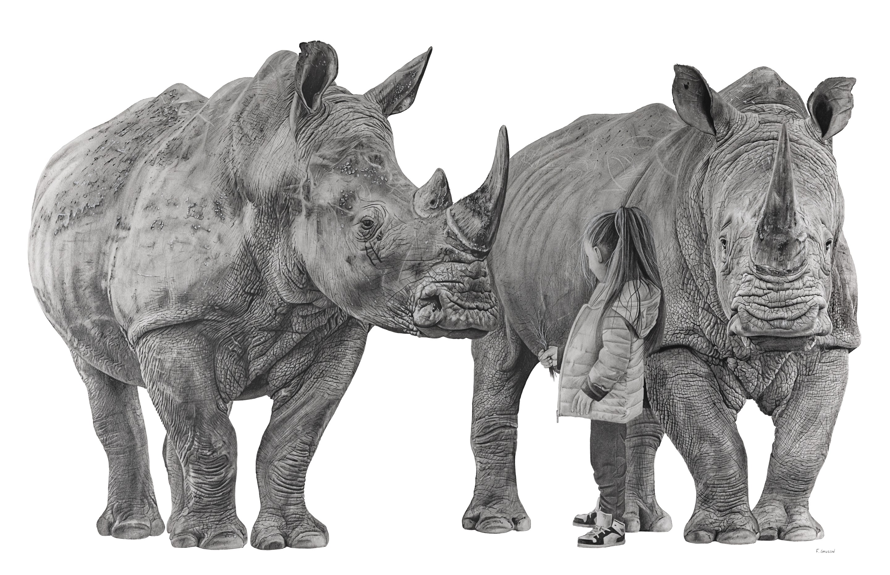 François Gruson, Rhinoceros et l'enfant François Gruson, Rhinoceros et l'enfant