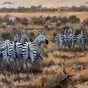 Pintura, Zebras' booties, Matthieu Delfini