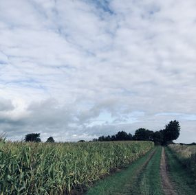 Photography, The path on the field, Mikaela Olovsson