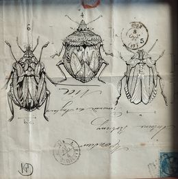 Dessin, Végetaniamals 8, K TD