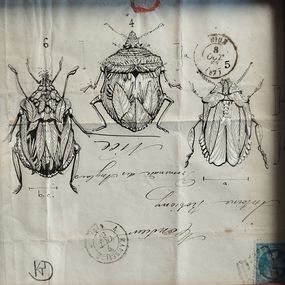 Fine Art Drawings, Végetaniamals 8, K TD