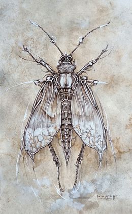 Fine Art Drawings, Arfalla, Horor