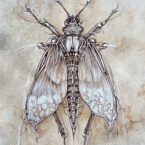 Zeichnungen, Arfalla, Horor