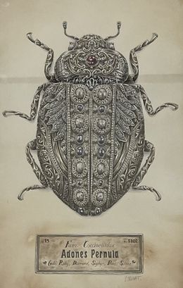 Fine Art Drawings, Adones Pernula, Steeven Salvat