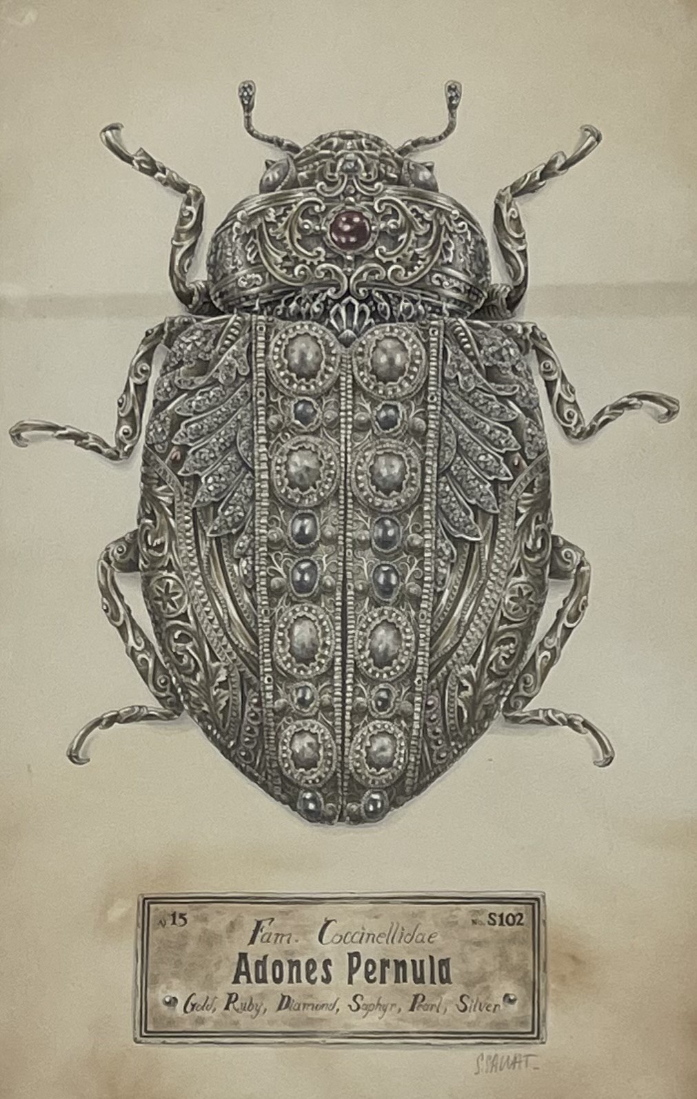 Steeven Salvat, Adones Pernula Steeven Salvat, Adones Pernula