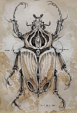 Dessin, Goliathus, Horor
