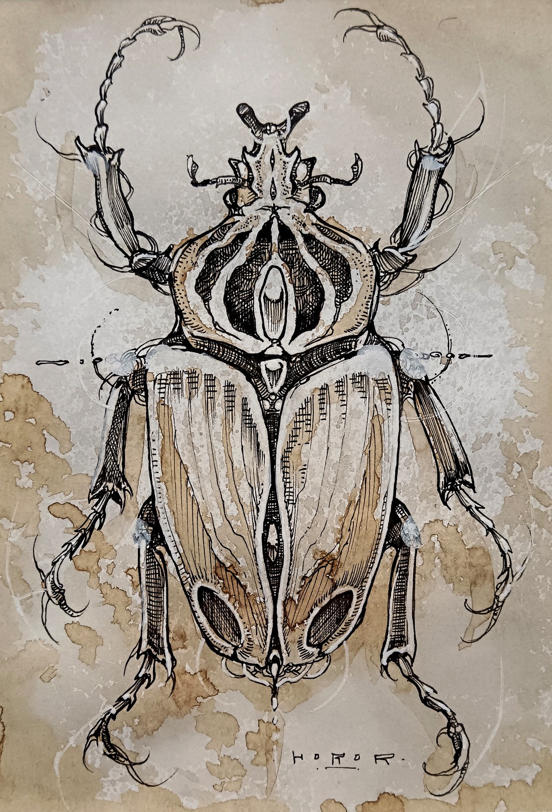 Horor, Goliathus Horor, Goliathus