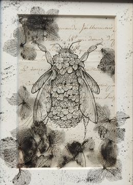 Fine Art Drawings, Végetaniamals 6, K TD