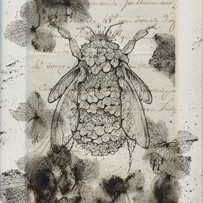 Fine Art Drawings, Végetaniamals 6, K TD