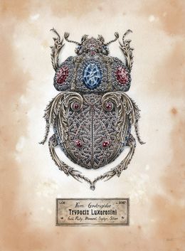 Dessin, Trypocis Luxorosini, Steeven Salvat
