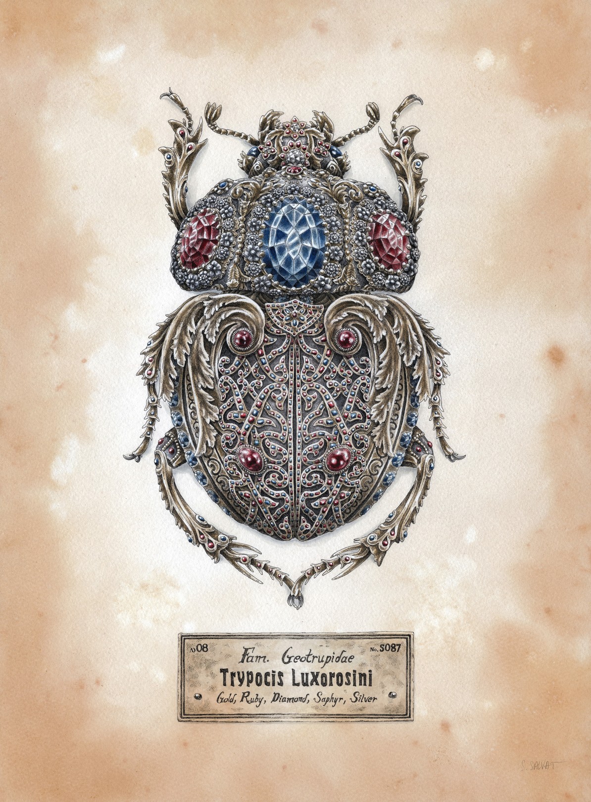 Steeven Salvat, Trypocis Luxorosini Steeven Salvat, Trypocis Luxorosini