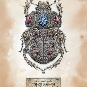 Fine Art Drawings, Trypocis Luxorosini, Steeven Salvat