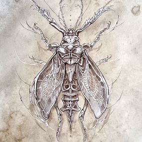 Fine Art Drawings, Ilona, Horor