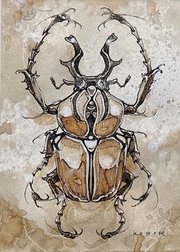 Fine Art Drawings, Cephalus, Horor