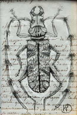 Dessin, Végetaniamals 3, K TD