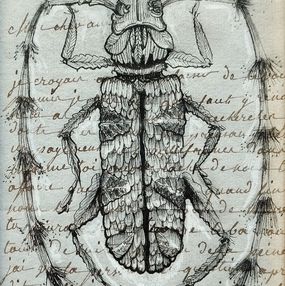 Zeichnungen, Végetaniamals 3, K TD