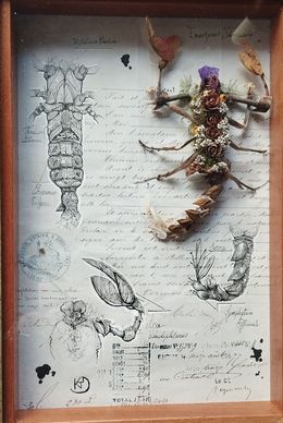 Fine Art Drawings, Végetaniamals 7, K TD