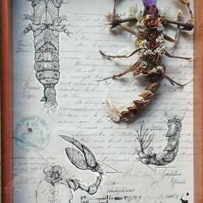 Fine Art Drawings, Végetaniamals 7, K TD