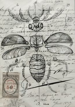 Dessin, Végetaniamals 12, K TD